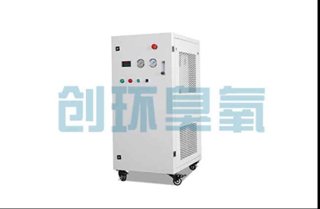 金昌工厂化养鲈必看：2026年臭氧发生器替代传统消毒的最新方案