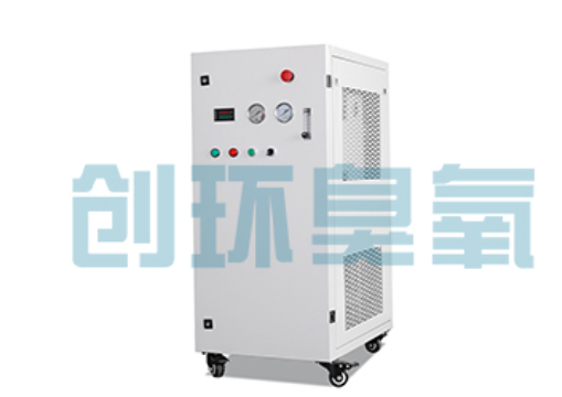 金昌石斑鱼养殖水质调控完整指南：臭氧发生器配置与操作步骤