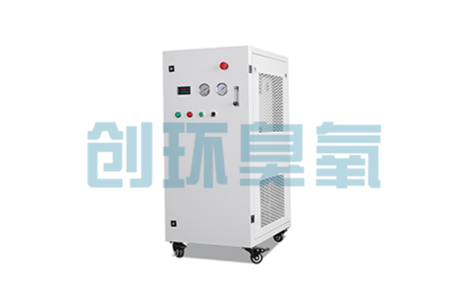 金昌比传统换水更高效？臭氧发生器在石斑鱼养殖中的水质净化原理解析