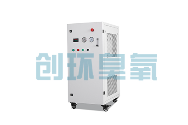 金昌比传统换水更高效?臭氧发生器在石斑鱼养殖中的水质净化原理解析